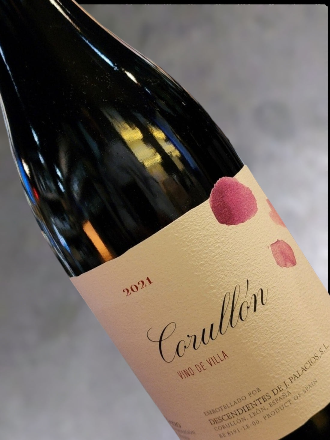 Palacios Corullon 2022