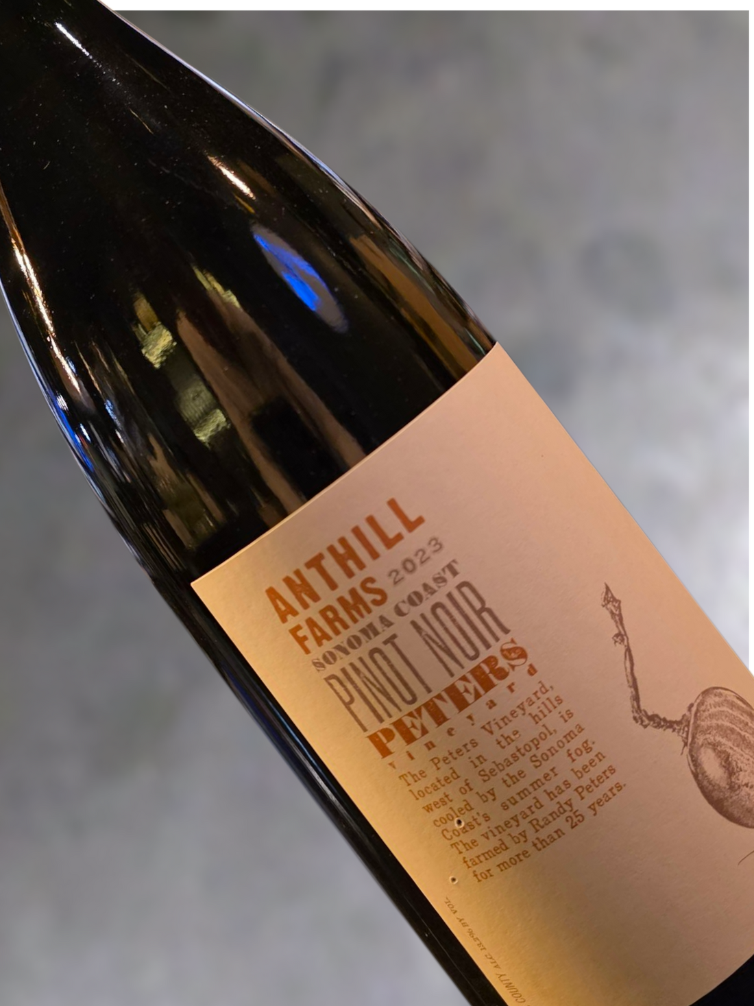 Anthill Farms Peters Vineyard Sonoma Coast 2023
