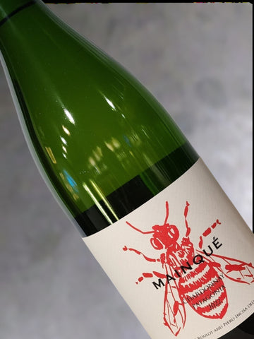 Bodega Chacra Chardonnay Mainque 2022
