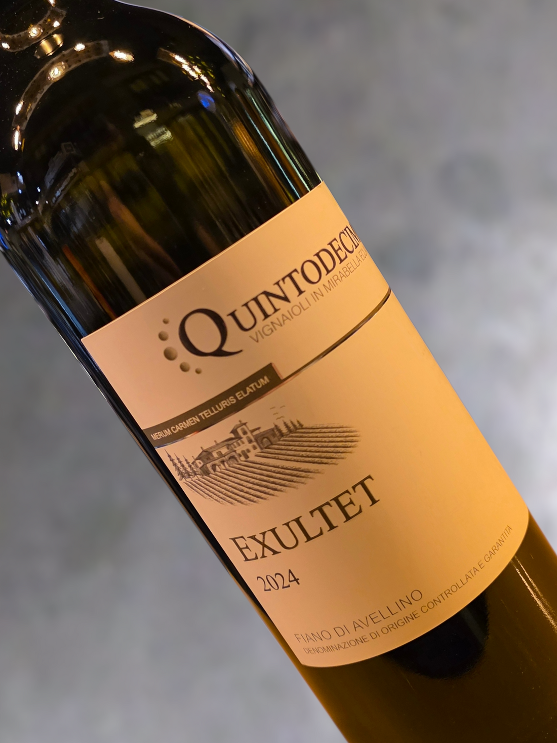 Quintodecimo Exultet Fiano di Avellino 2024