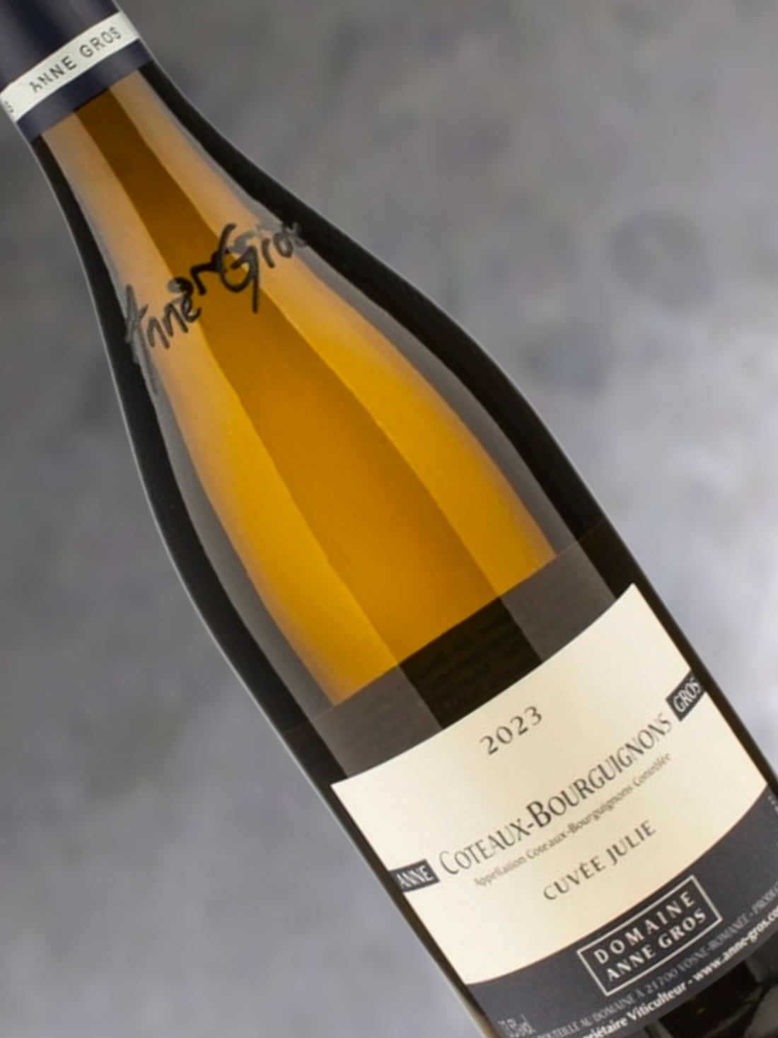 Domaine Anne Gros Coteaux Bourguigonons Blanc Cuvee Julie 2023