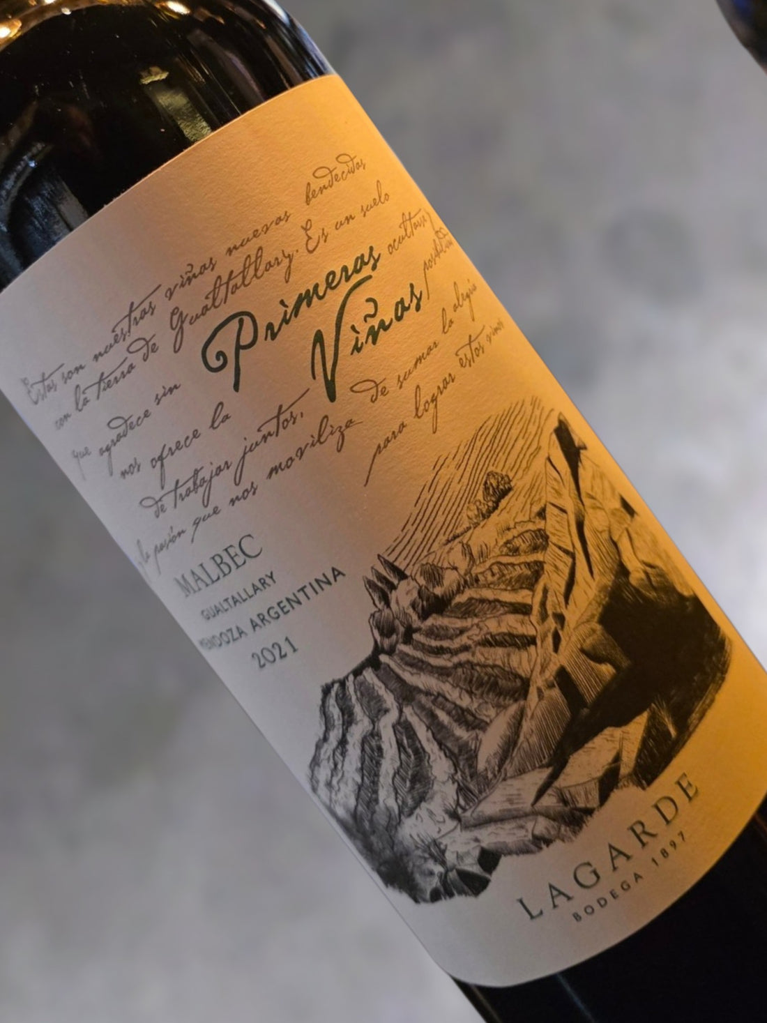 Bodegas Lagarde Primeras Vinas Gualtallary Vineyard 2021