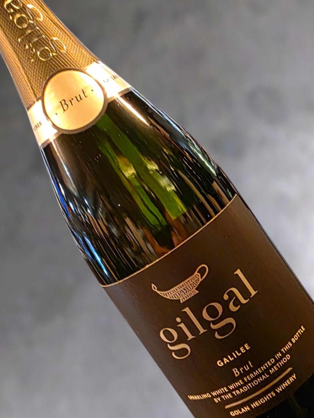 Gilgal Brut 2022