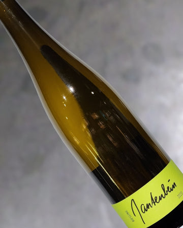 Weingut Gantenbein Riesling 2022